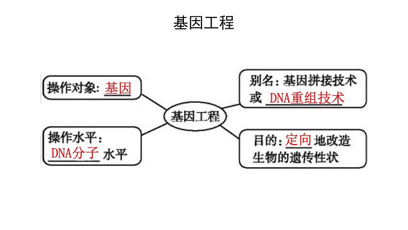 高中生物必修二 6.2 基因工程课件PPT06