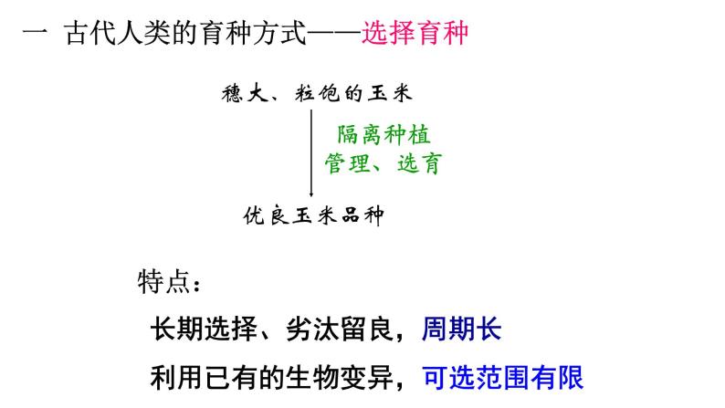 高中生物必修二 6.1 杂交育种和诱变育种课件PPT02