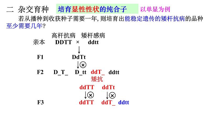 高中生物必修二 6.1 杂交育种和诱变育种课件PPT06