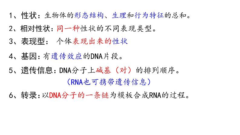 高中生物必修二 4.2 基因表达与性状的关系课件PPT02