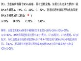 高中生物必修二 4.2 基因表達與性狀的關系課件PPT