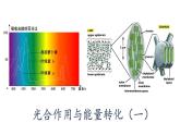 5.4.1 光合作用课件PPT