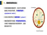 第05章 细胞质基质与内膜系统课件PPT