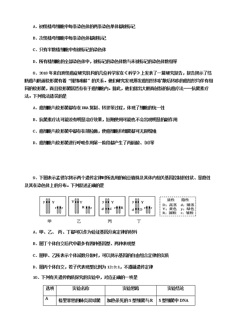 湖南省益阳市箴言中学2022届高三上学期第三次模拟考试（11月）生物含答案03