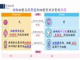 6.1.2 细胞的增殖课件PPT