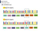 5.1 基因突变和基因重组课件PPT