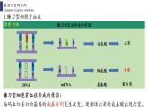 5.1 基因突变和基因重组课件PPT