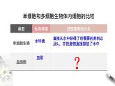 1.1 细胞生活的环境（课件）-2020-2021学年高二上学期生物学同步精品课堂（2019人教版选择性必修1）(共32张PPT)