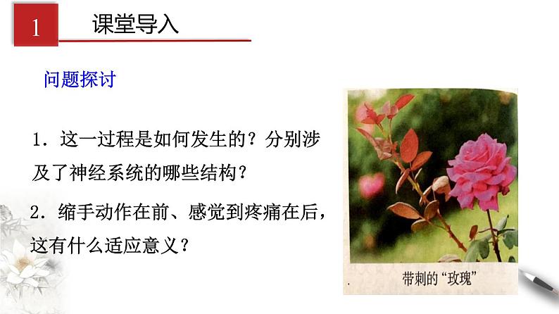 2.2 神经调节的基本方式（课件）-2020-2021学年高二上学期生物学同步精品课堂（2019人教版选择性必修1）（共20张PPT）03