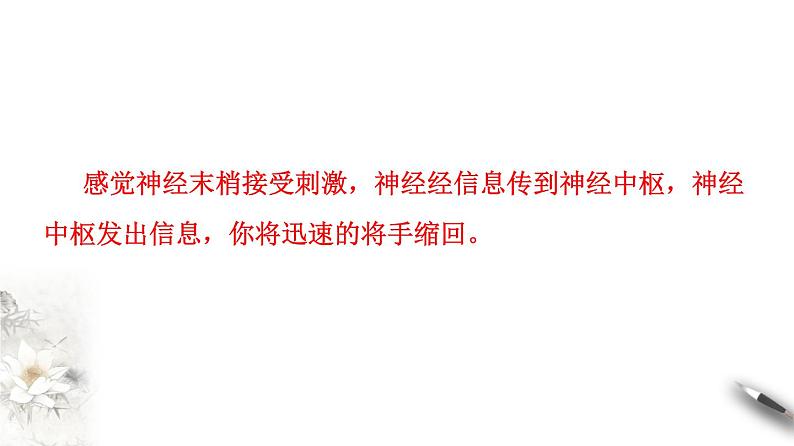 2.2 神经调节的基本方式（课件）-2020-2021学年高二上学期生物学同步精品课堂（2019人教版选择性必修1）（共20张PPT）04