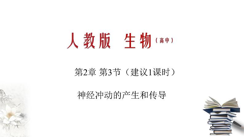 2.3 神经冲动的产生和传导（课件）-2020-2021学年高二上学期生物学同步精品课堂（2019人教版选择性必修1）（共36张PPT）第1页