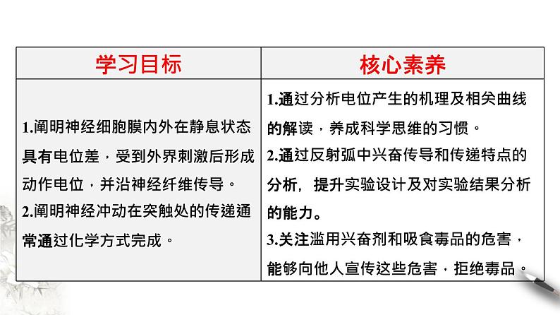 2.3 神经冲动的产生和传导（课件）-2020-2021学年高二上学期生物学同步精品课堂（2019人教版选择性必修1）（共36张PPT）第2页