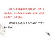 2.3 神经冲动的产生和传导（课件）-2020-2021学年高二上学期生物学同步精品课堂（2019人教版选择性必修1）（共36张PPT）