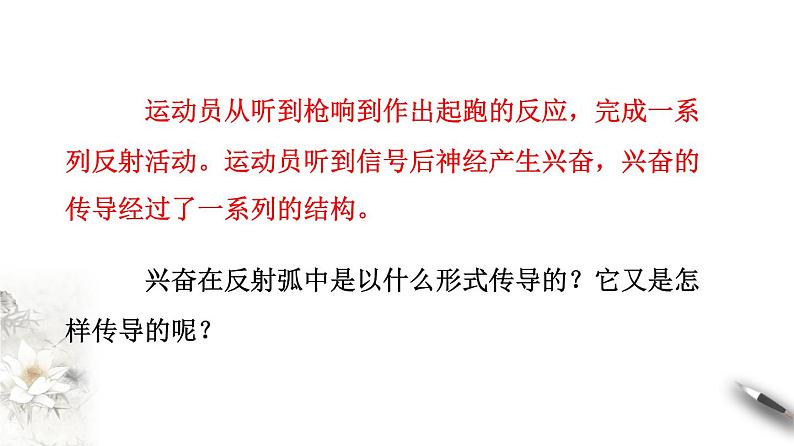 2.3 神经冲动的产生和传导（课件）-2020-2021学年高二上学期生物学同步精品课堂（2019人教版选择性必修1）（共36张PPT）第4页