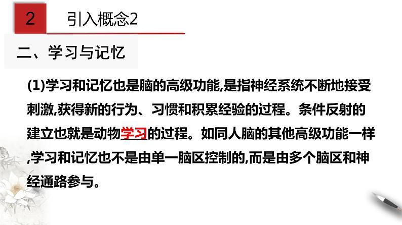 2.5 人脑的高级功能（课件）-2020-2021学年高二上学期生物学同步精品课堂（2019人教版选择性必修1）（共18张PPT）第8页