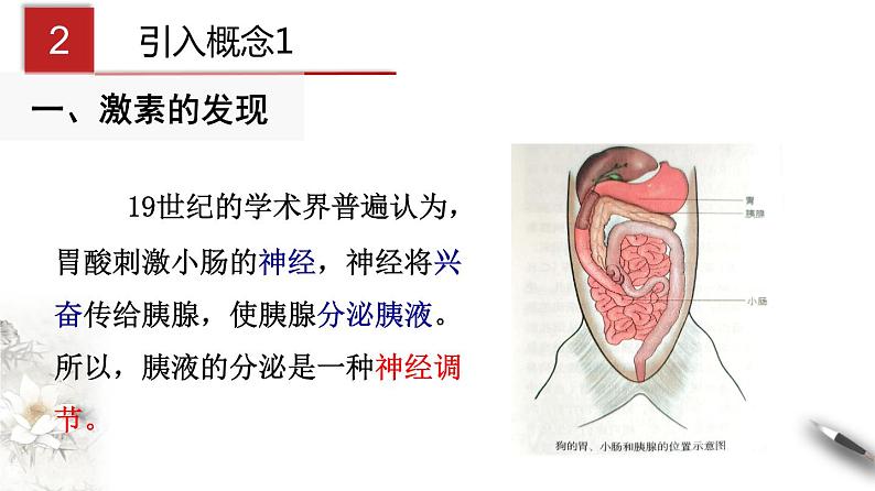 3.1 激素与内分泌系统（课件）-2020-2021学年上学期高二生物学同步精品课堂（新教材人教版选择性必修1）（共27张PPT）第6页