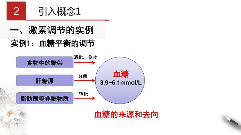 3.2 激素调节的过程（课件）-2020-2021学年上学期高二生物学同步精品课堂（新教材人教版选择性必修1）（共28张PPT）第4页