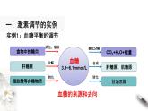 3.2 激素调节的过程（课件）-2020-2021学年上学期高二生物学同步精品课堂（新教材人教版选择性必修1）（共28张PPT）
