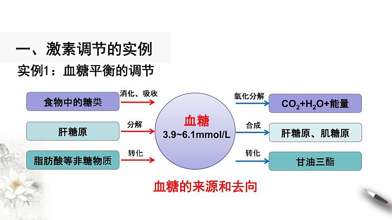 3.2 激素调节的过程（课件）-2020-2021学年上学期高二生物学同步精品课堂（新教材人教版选择性必修1）（共28张PPT）第5页