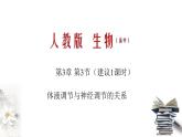 3.3 体液调节与神经调节的关系（课件）-2020-2021学年上学期高二生物学同步精品课堂（新教材人教版选择性必修1）（共27张PPT）