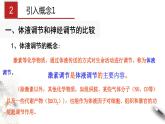 3.3 体液调节与神经调节的关系（课件）-2020-2021学年上学期高二生物学同步精品课堂（新教材人教版选择性必修1）（共27张PPT）