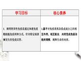 4.2 特异性免疫（课件）-2020-2021学年上学期高二生物学同步精品课堂（新教材人教版选择性必修1）（共23张PPT）