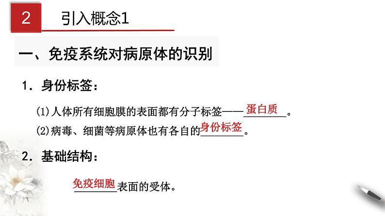 4.2 特异性免疫（课件）-2020-2021学年上学期高二生物学同步精品课堂（新教材人教版选择性必修1）（共23张PPT）第5页