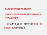 5.2 其他植物激素（课件）-2020-2021学年上学期高二生物学同步精品课堂（新教材人教版选择性必修1）（共27张PPT）