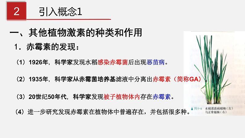 5.2 其他植物激素（课件）-2020-2021学年上学期高二生物学同步精品课堂（新教材人教版选择性必修1）（共27张PPT）第5页