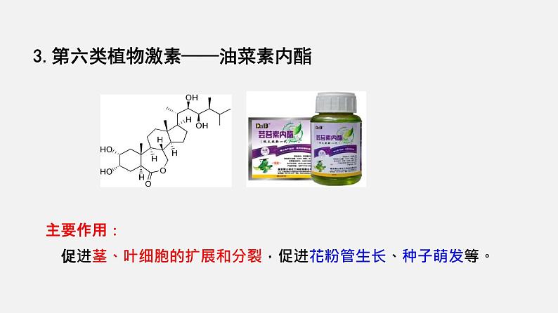 5.2 其他植物激素（课件）-2020-2021学年上学期高二生物学同步精品课堂（新教材人教版选择性必修1）（共27张PPT）第7页