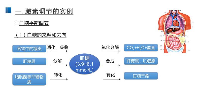 3.2 激素调节的过程 课件 【新教材】人教版（2019）高中生物选择性必修一第3页