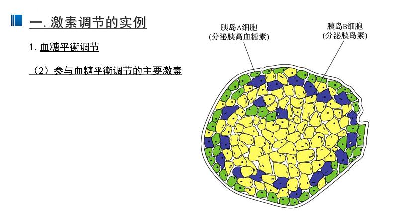 3.2 激素调节的过程 课件 【新教材】人教版（2019）高中生物选择性必修一第4页