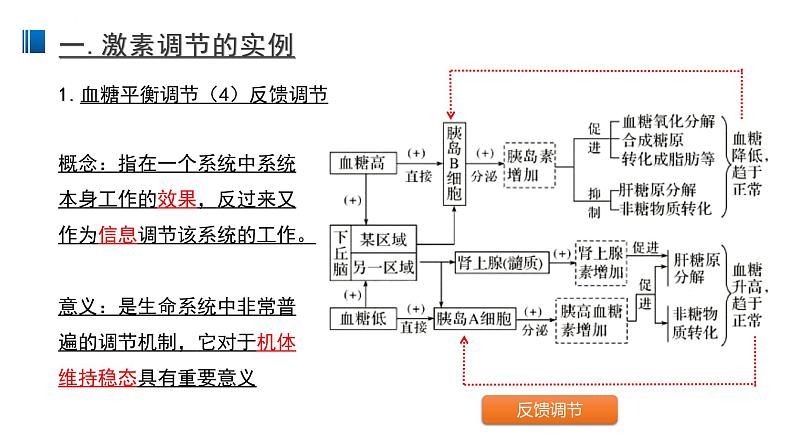 3.2 激素调节的过程 课件 【新教材】人教版（2019）高中生物选择性必修一第7页