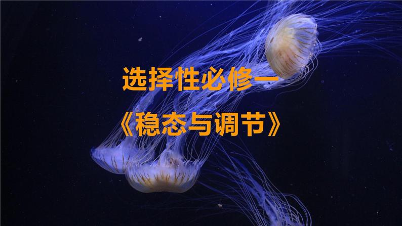 1.1 细胞生活的环境 课件 【新教材】人教版（2019）高中生物选择性必修一第1页