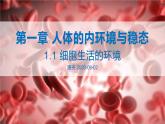 1.1 细胞生活的环境 课件 【新教材】人教版（2019）高中生物选择性必修一