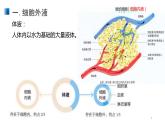 1.1 细胞生活的环境 课件 【新教材】人教版（2019）高中生物选择性必修一