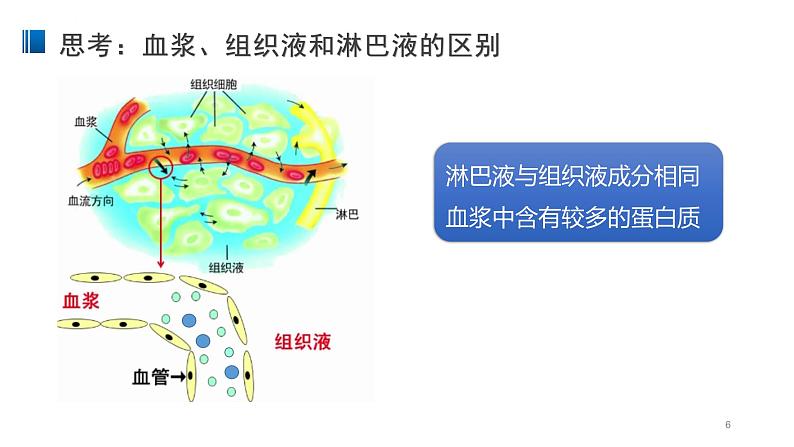 1.1 细胞生活的环境 课件 【新教材】人教版（2019）高中生物选择性必修一第6页