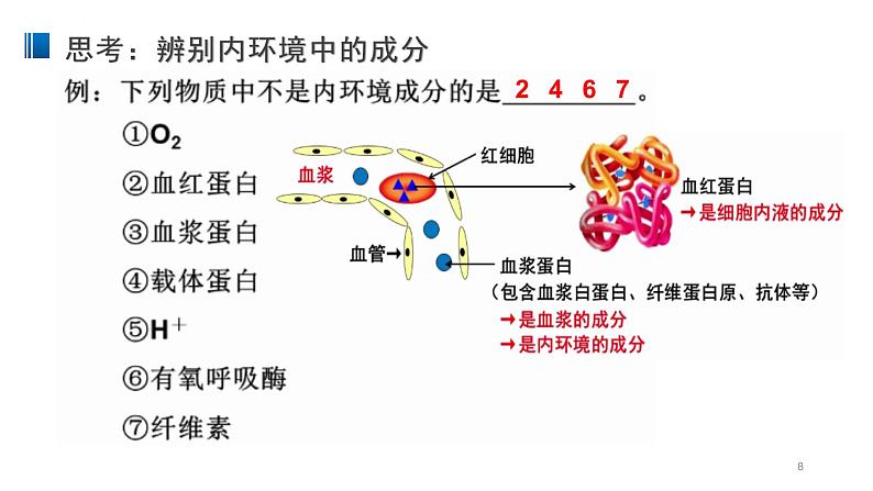 1.1 细胞生活的环境 课件 【新教材】人教版（2019）高中生物选择性必修一第8页