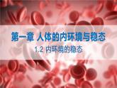 1.2 内环境的稳态 课件 【新教材】人教版（2019）高中生物选择性必修一