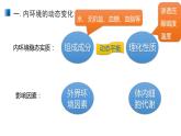 1.2 内环境的稳态 课件 【新教材】人教版（2019）高中生物选择性必修一