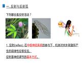 2.2 神经调节的基本方式 课件 【新教材】人教版（2019）高中生物选择性必修一