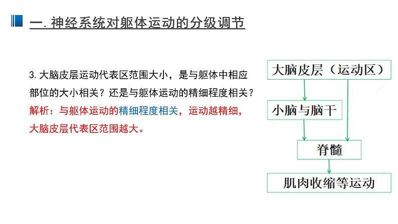 2.4 神经系统的分级调节 课件 【新教材】人教版（2019）高中生物选择性必修一第6页