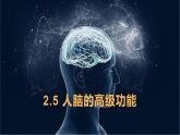2.5 人腦的高級功能 課件 【新教材】人教版（2019）高中生物選擇性必修一
