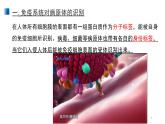 4.2 特异性免疫 课件【新教材】人教版（2019）高中生物选择性必修一