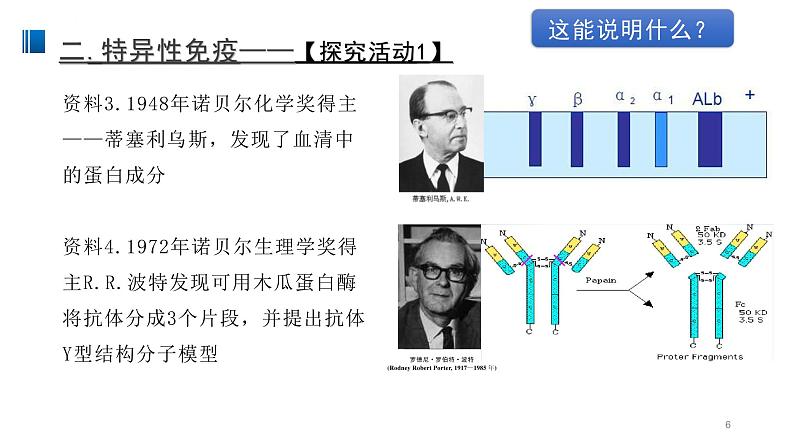 4.2 特异性免疫 课件【新教材】人教版（2019）高中生物选择性必修一06