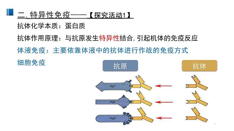4.2 特异性免疫 课件【新教材】人教版（2019）高中生物选择性必修一07