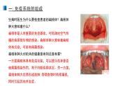 4.1 免疫系统的组成和功能 课件 【新教材】人教版（2019）高中生物选择性必修一