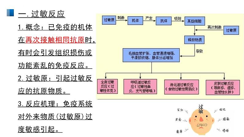 4.3 免疫失调 课件 【新教材】人教版（2019）高中生物选择性必修一02