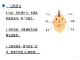 4.3 免疫失調(diào) 課件 【新教材】人教版（2019）高中生物選擇性必修一