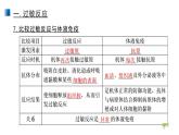 4.3 免疫失調(diào) 課件 【新教材】人教版（2019）高中生物選擇性必修一